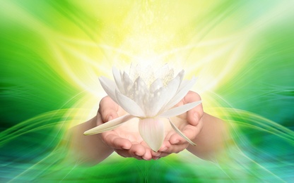 Image of Woman holding beautiful lotus flower on bright background, closeup