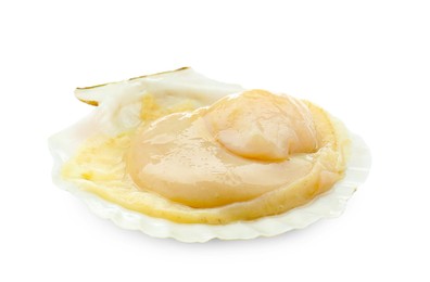 Photo of Fresh raw scallop in shell isolated on white