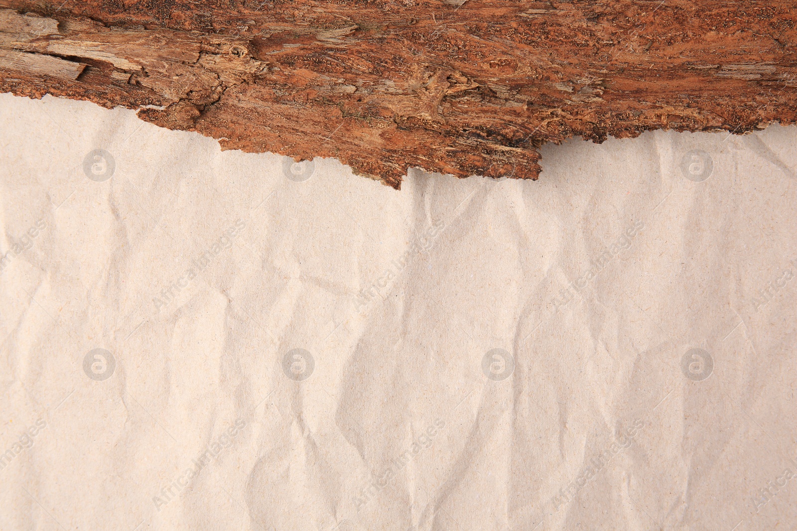 Photo of Tree bark piece on beige crumpled paper, top view. Space for text