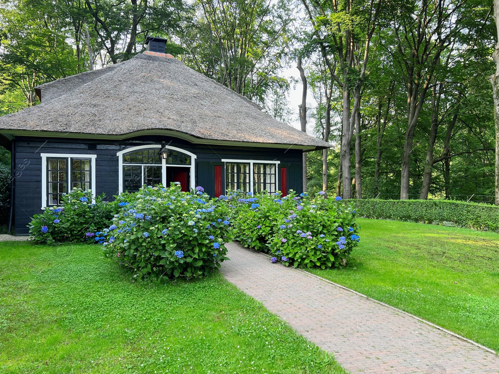 Photo of Picturesque view of beautiful house and plants on sunny day