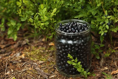 Photo of Jar of delicious bilberries on ground in forest, space for text