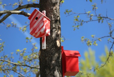 Photo of Red and white bird houses on tree outdoors