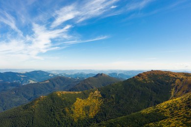 Image of Beautiful mountain landscape with forest on sunny day. Drone photography