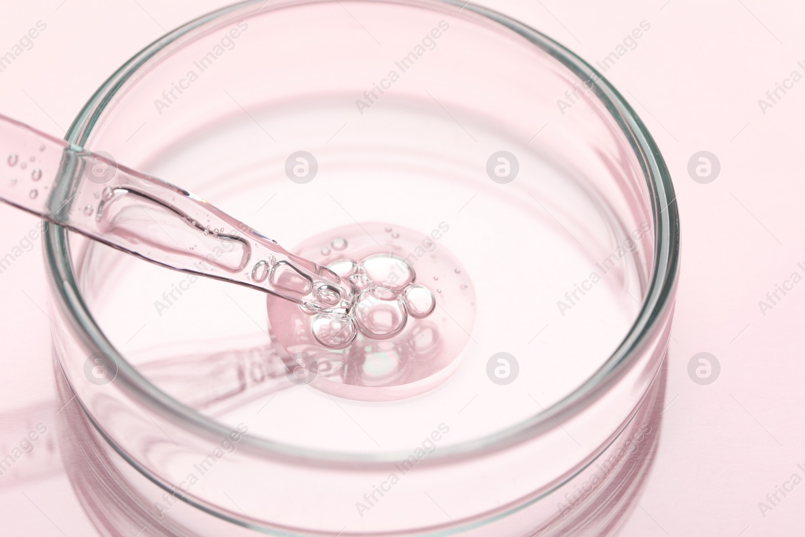 Photo of Glass pipette and petri dish with liquid on pink background, closeup