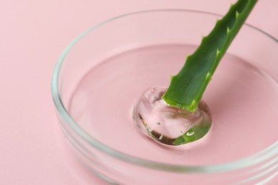 Photo of Petri dish with aloe plant and cosmetic product on pink background, closeup