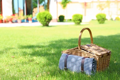 Picnic basket with blanket on green lawn in garden. Space for text