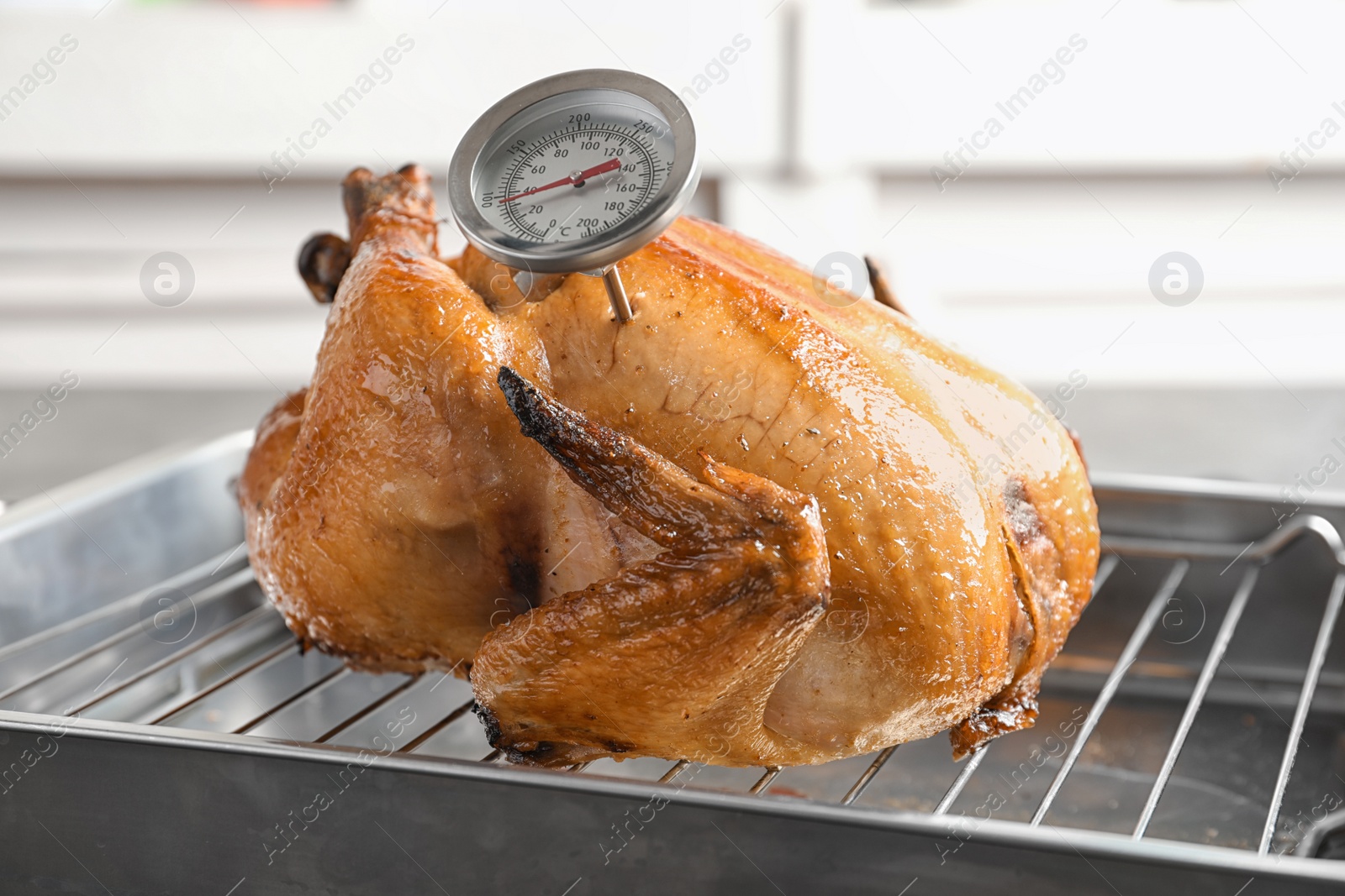 Photo of Roasted turkey with meat thermometer on baking rack