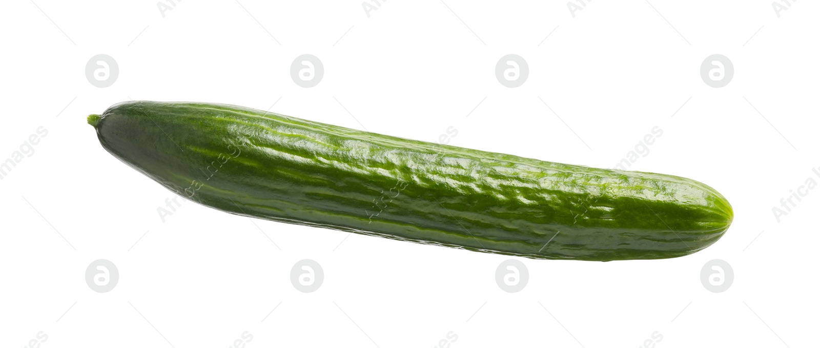 Photo of One long fresh cucumber isolated on white