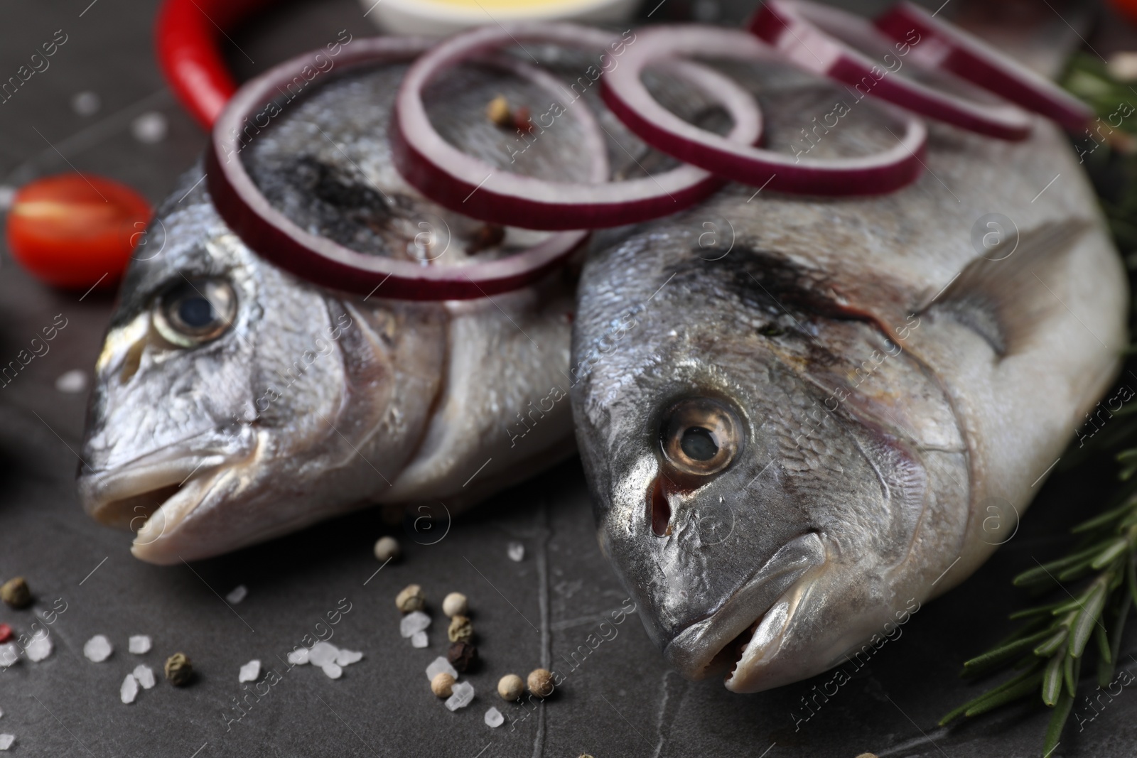 Photo of Fresh dorado fish, onion, rosemary and spices on grey table, closeup