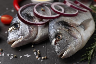 Fresh dorado fish, onion, rosemary and spices on grey table, closeup