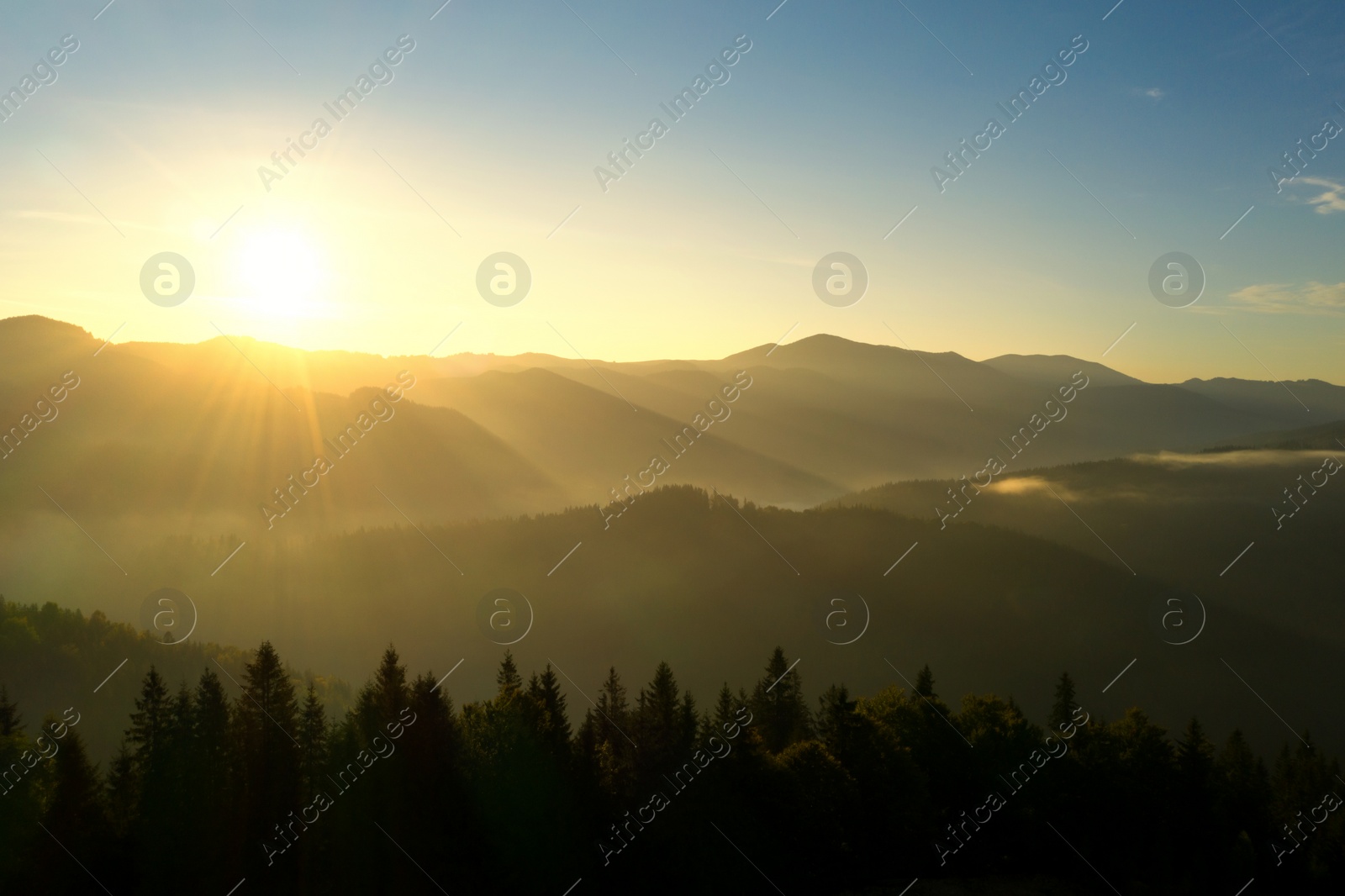 Image of Sun shining over forest in misty mountains. Drone photography