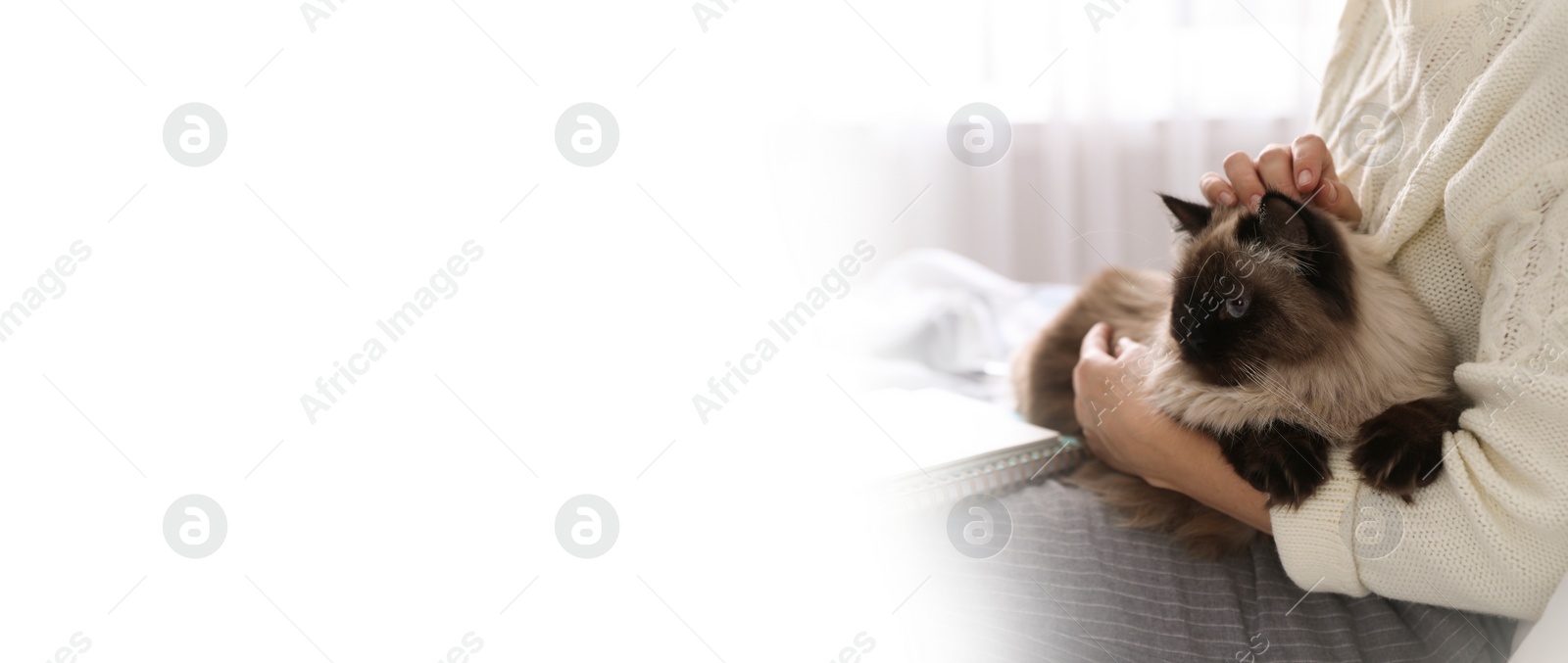 Image of Woman with her cute pet at home, space for text. Banner design