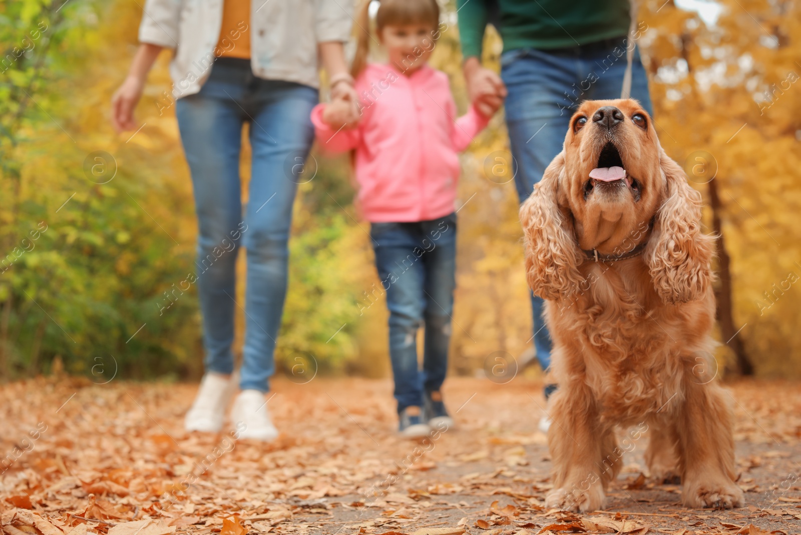 Photo of Happy family with child and dog in park. Autumn walk