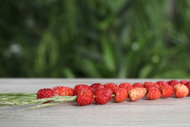 Photo of Grass stems with wild strawberries on white wooden table, closeup. Space for text