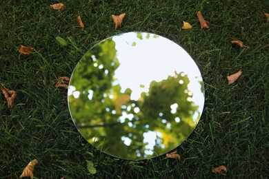 Photo of Round mirror on green grass and fallen leaves reflecting beautiful tree, top view