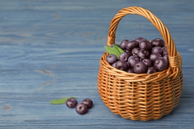 Photo of Wicker basket of fresh acai berries on blue wooden table, space for text