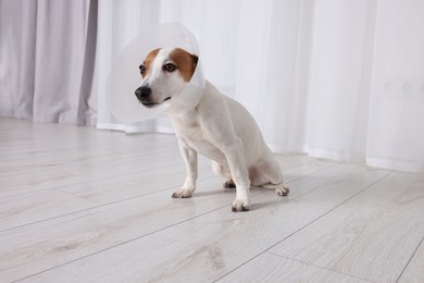 Photo of Cute Jack Russell Terrier dog wearing medical plastic collar indoors