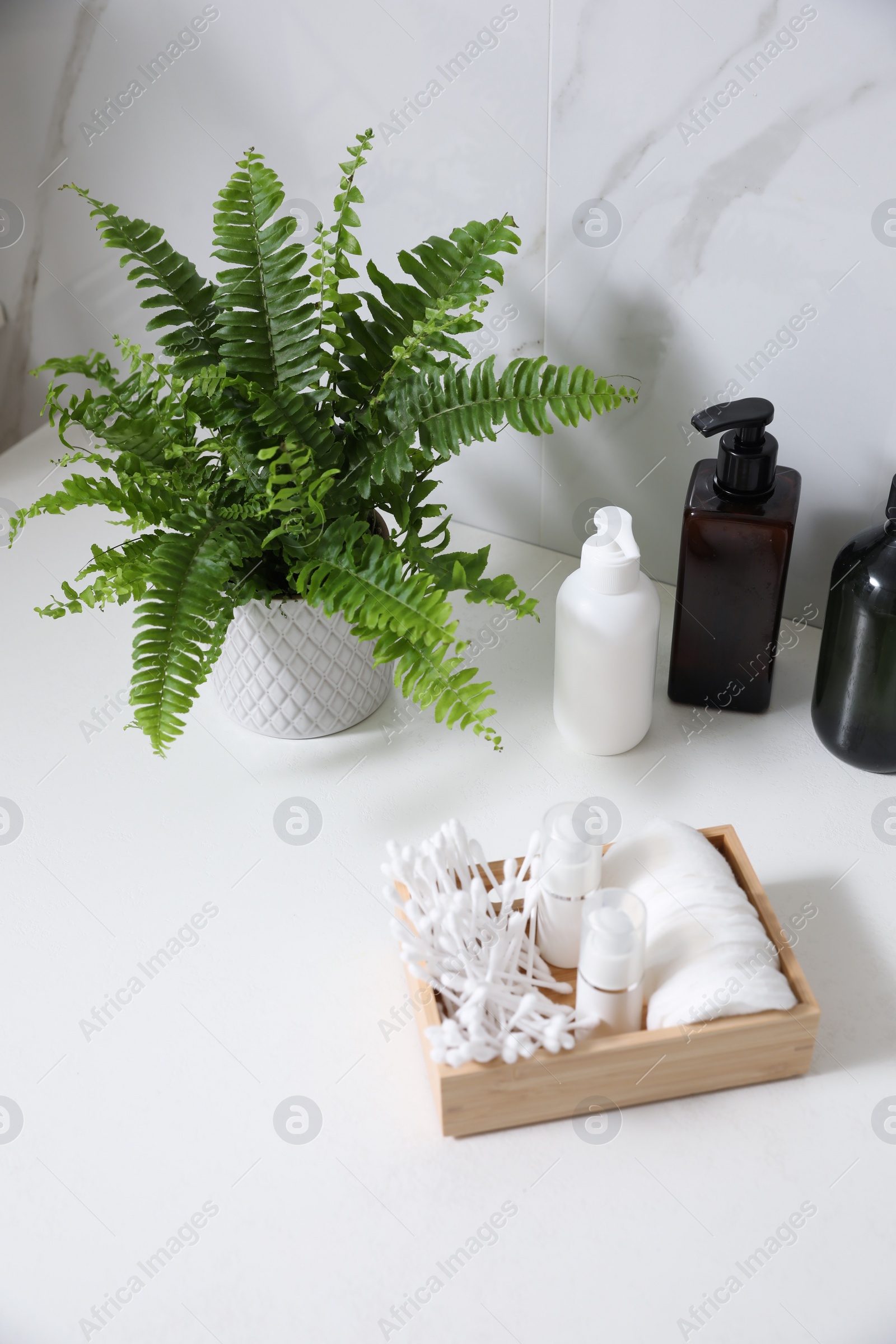 Photo of Beautiful green fern and toiletries on countertop in bathroom