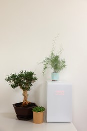 Modern air humidifier and houseplants on white table