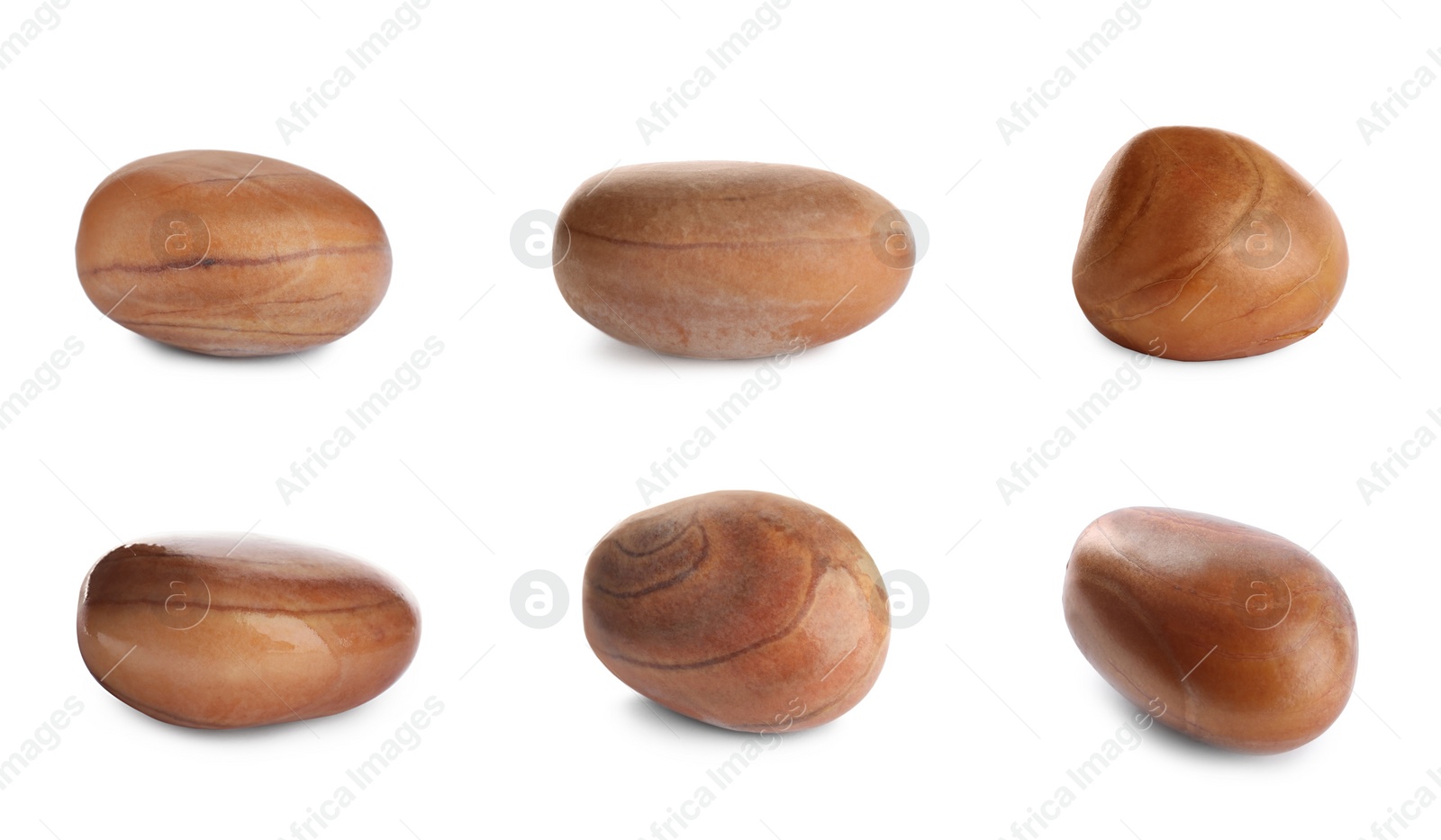 Image of Set with jackfruit seeds on white background