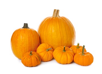 Pile of ripe orange pumpkins on white background