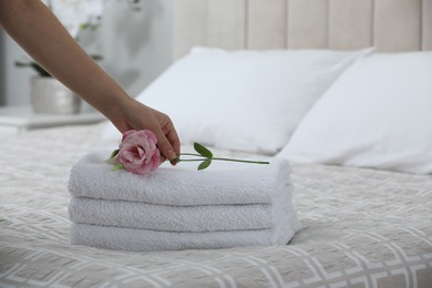 Woman putting Eustoma flower on folded towels in bedroom, closeup