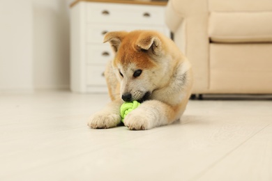 Photo of Cute akita inu puppy playing with ball in living room
