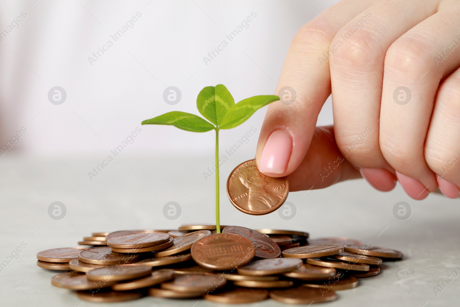 Photo of Woman putting coin onto pile with green sprout at grey table, closeup. Investment concept