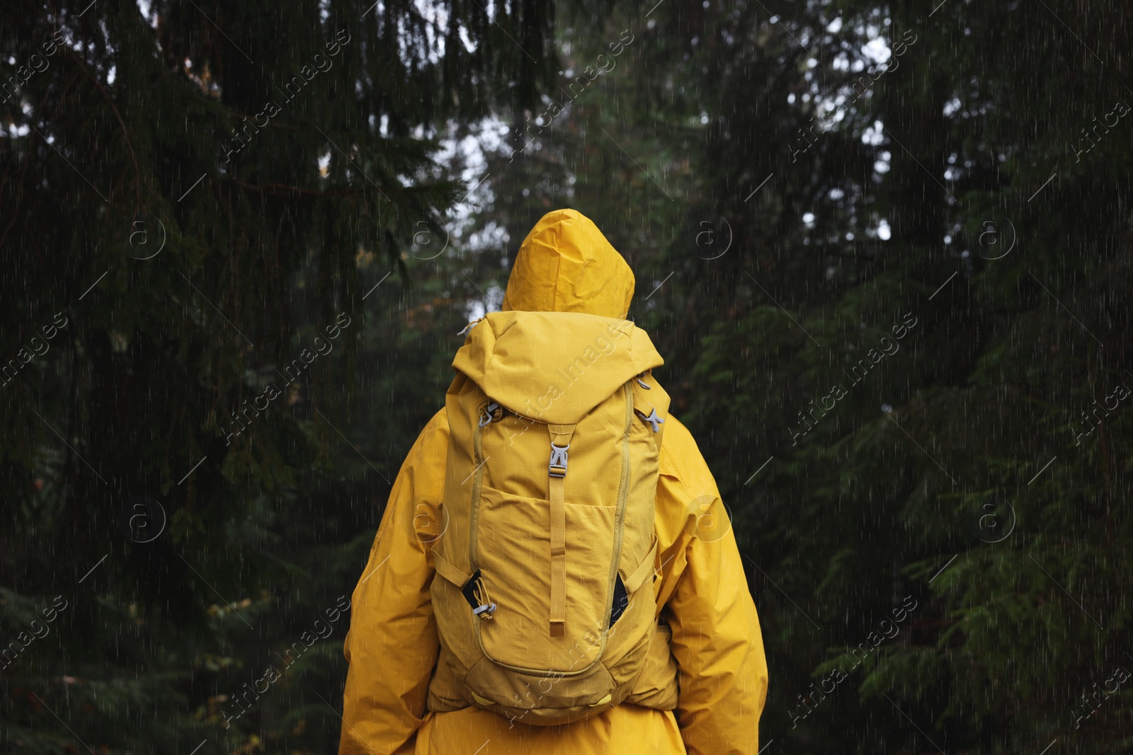 Photo of Woman with raincoat and backpack in forest under rain, back view