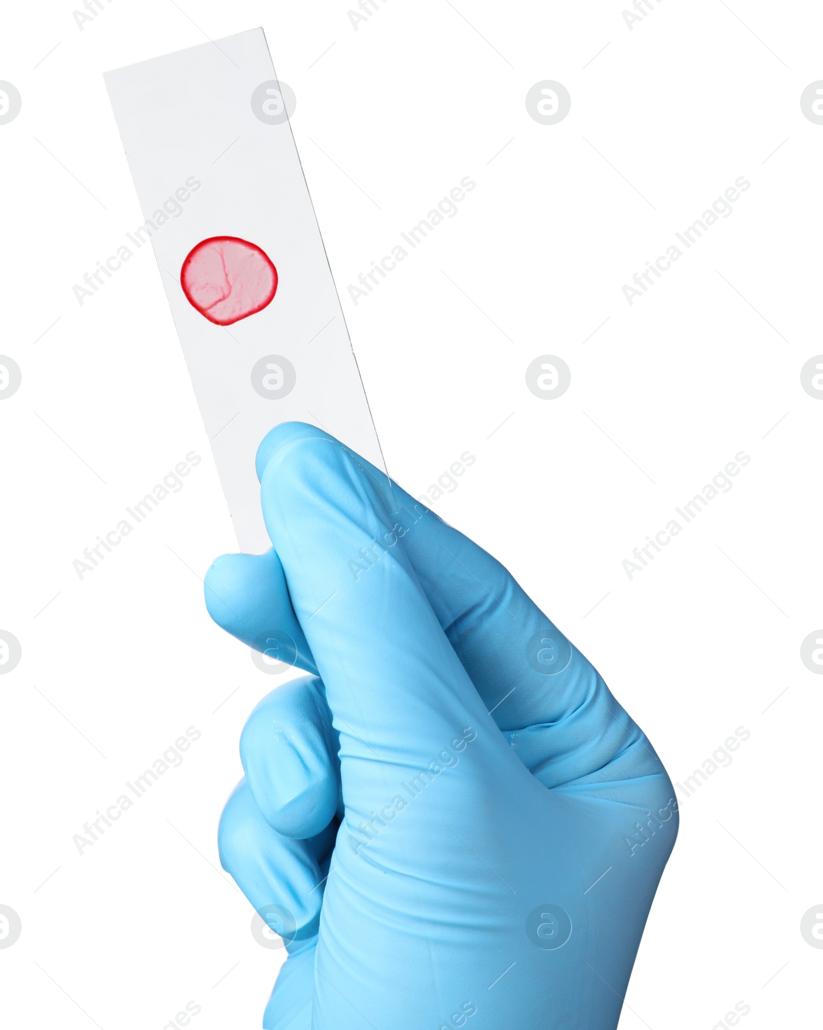 Photo of Scientist holding microscope slide with sample on white background, closeup