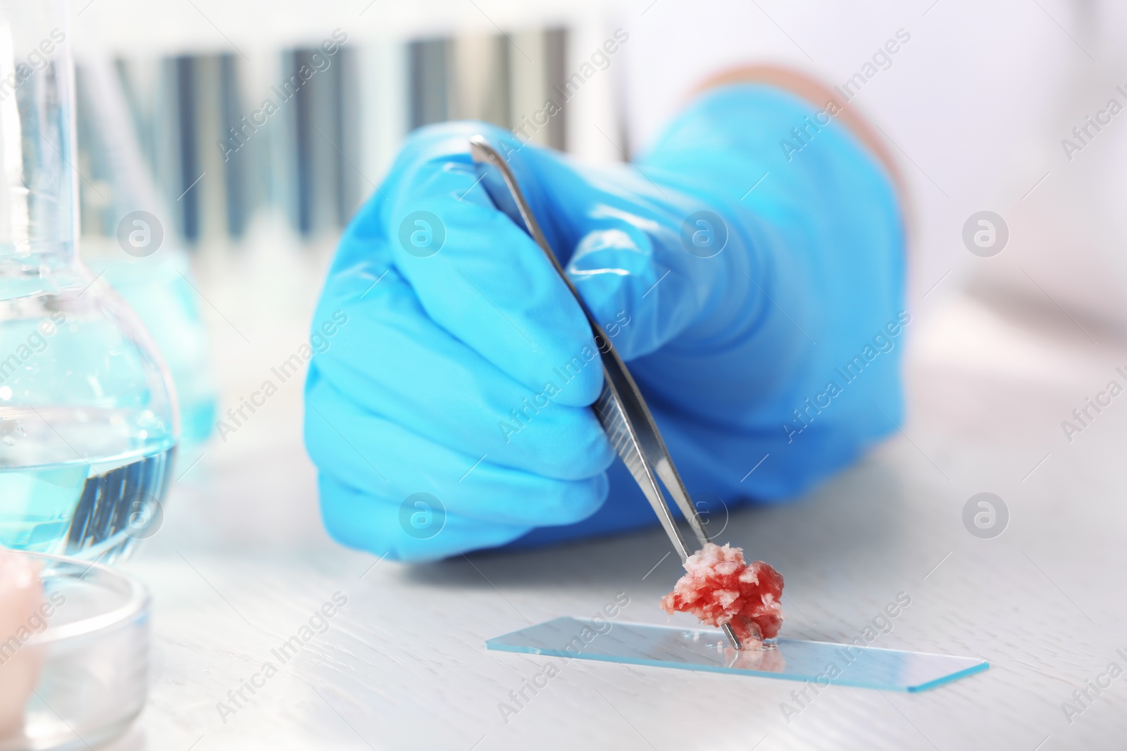 Photo of Scientist holding tweezers with forcemeat sample over table, closeup