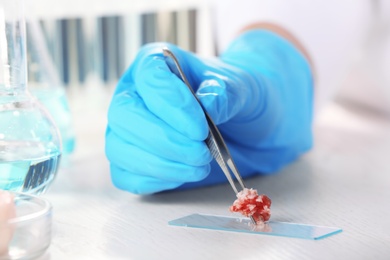 Photo of Scientist holding tweezers with forcemeat sample over table, closeup