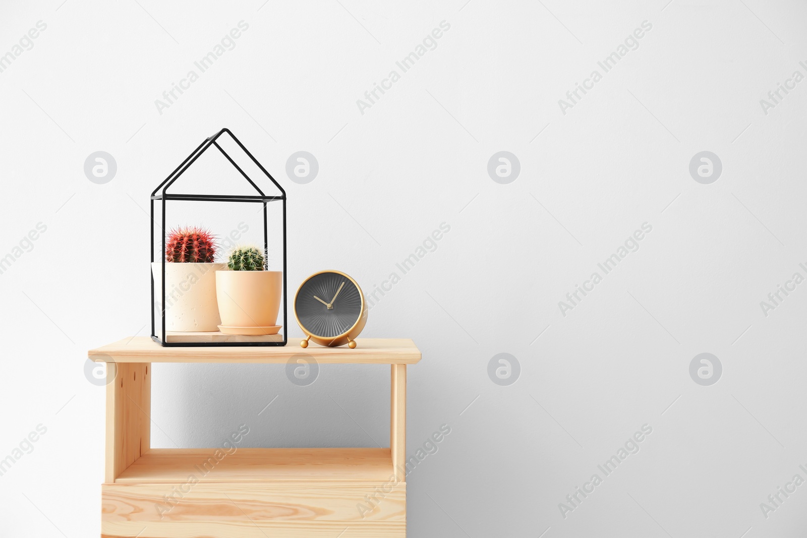 Photo of Beautiful cacti on table against light background