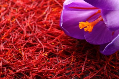 Beautiful crocus flower on dried saffron, closeup. Space for text