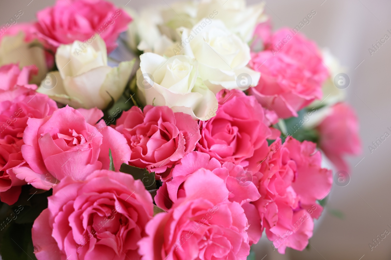 Photo of Beautiful bouquet of roses on blurred background, closeup