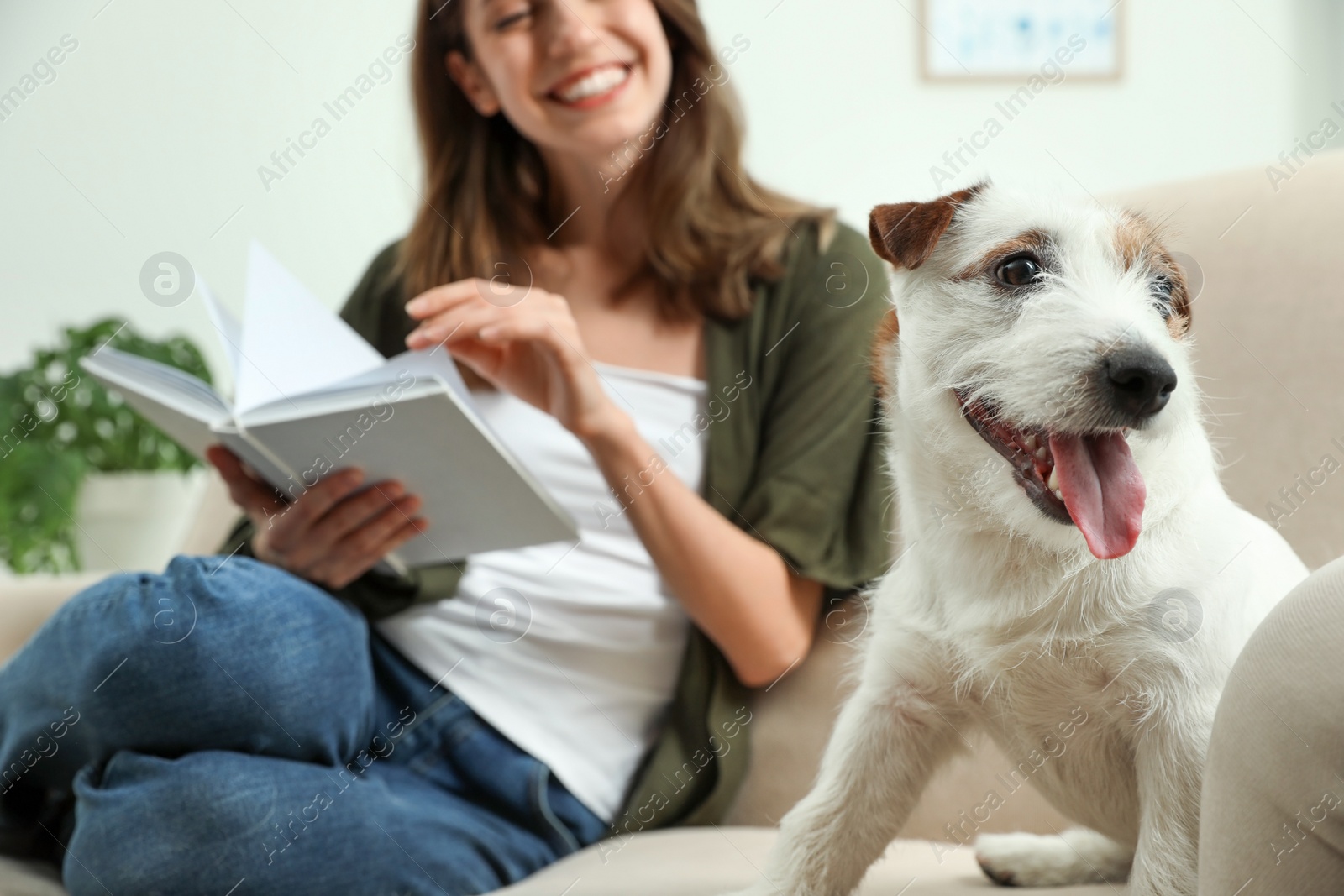 Photo of Young woman reading book and her cute Jack Russell Terrier on sofa at home. Lovely pet