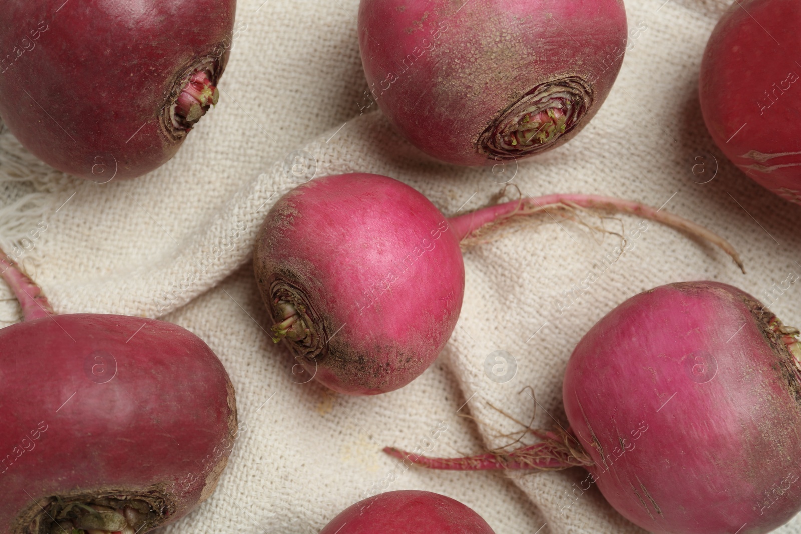 Photo of Red turnips on white fabric, above view