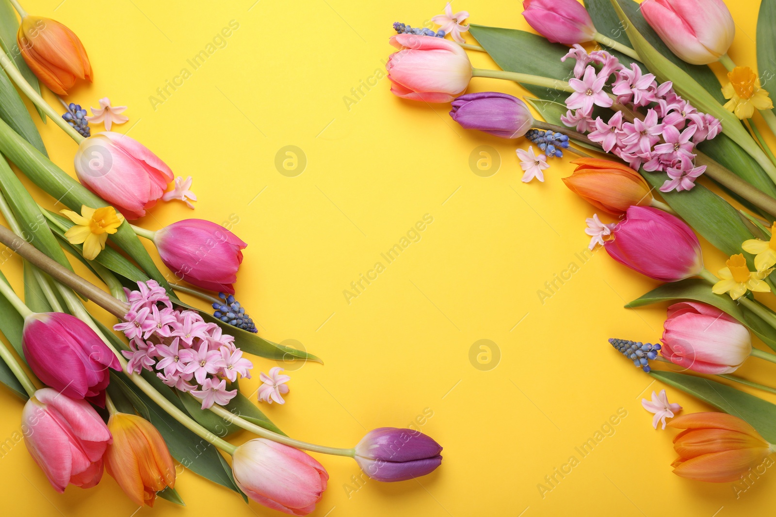 Photo of Beautiful different flowers on yellow background, flat lay. Space for text