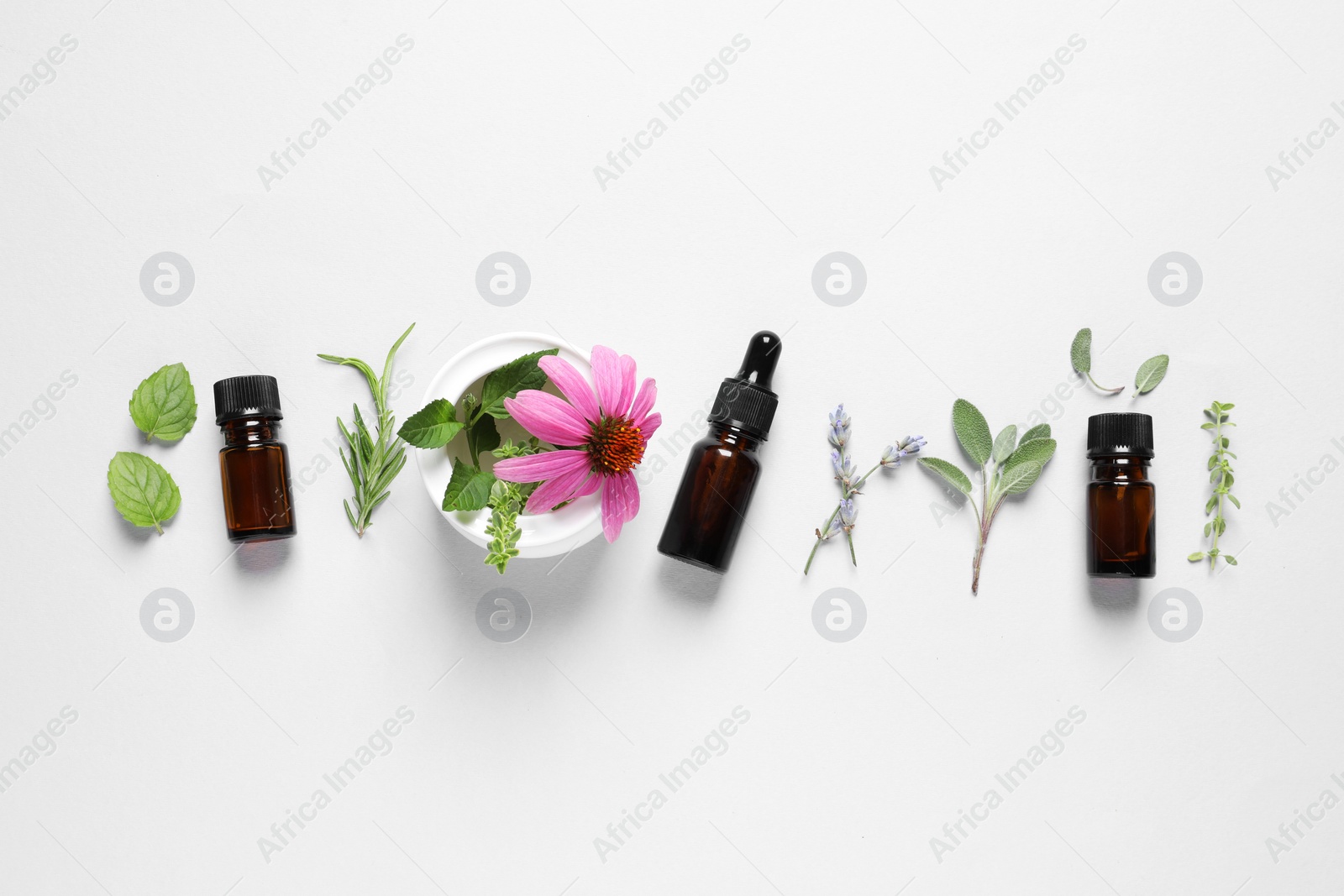 Photo of Bottles of essential oils, different herbs and flowers on white background, flat lay