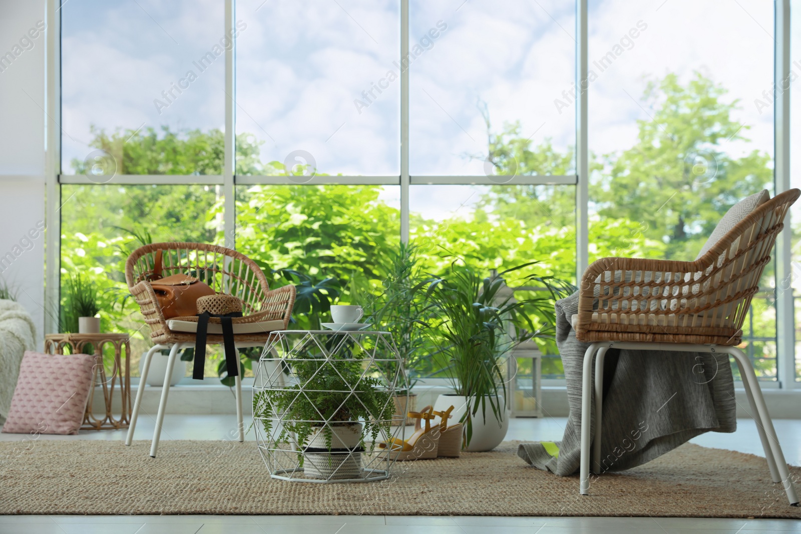 Photo of Indoor terrace interior with elegant furniture and houseplants