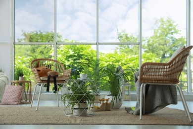 Indoor terrace interior with elegant furniture and houseplants