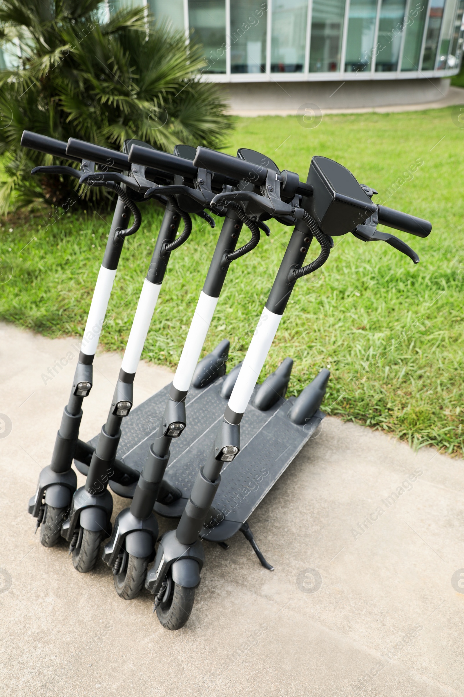 Photo of Row of electric scooters outdoors. Rental service