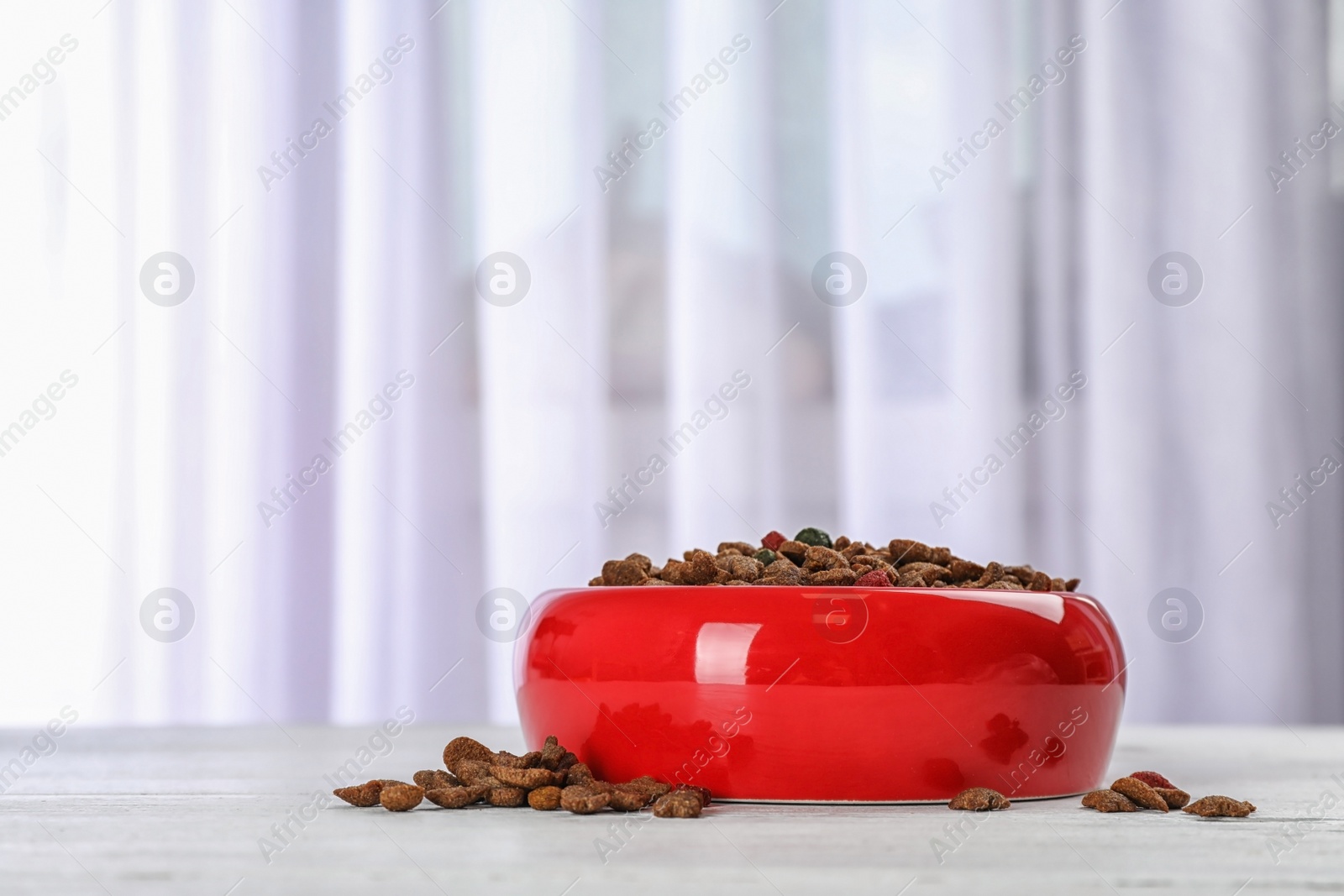 Photo of Bowl with food for cat or dog on floor. Pet care