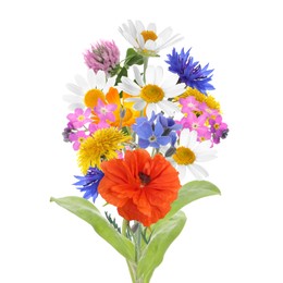 Image of Bouquet of beautiful meadow flowers isolated on white