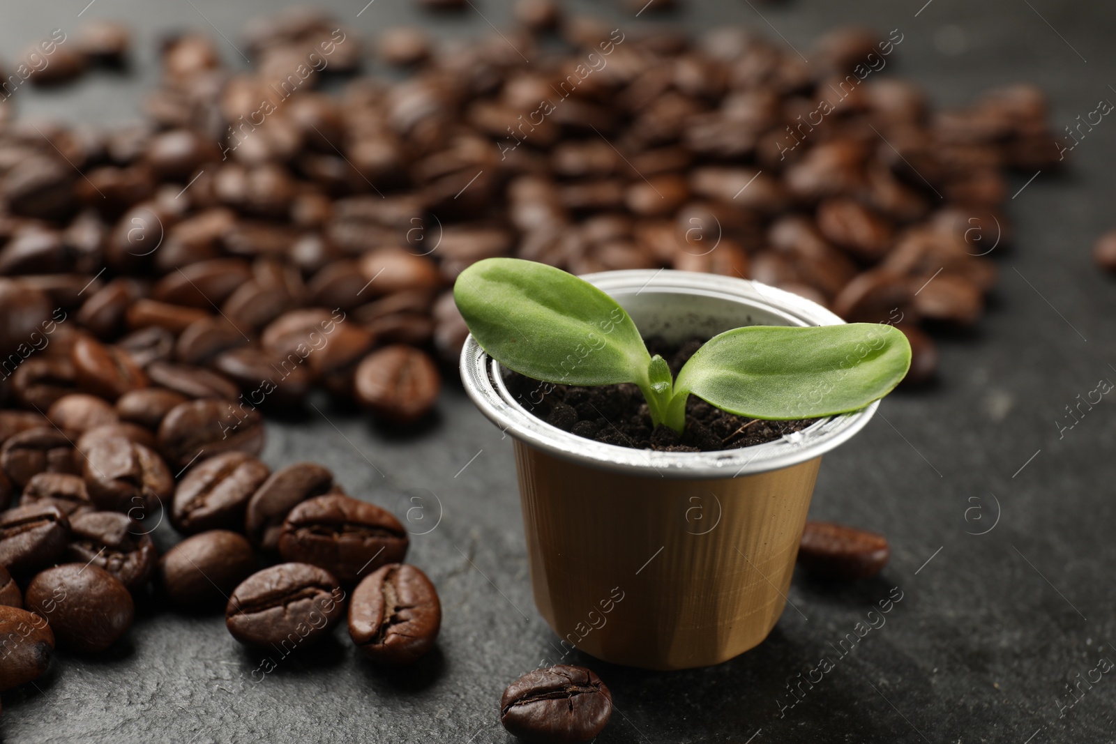 Photo of Coffee capsule with seedling and beans on black table, closeup