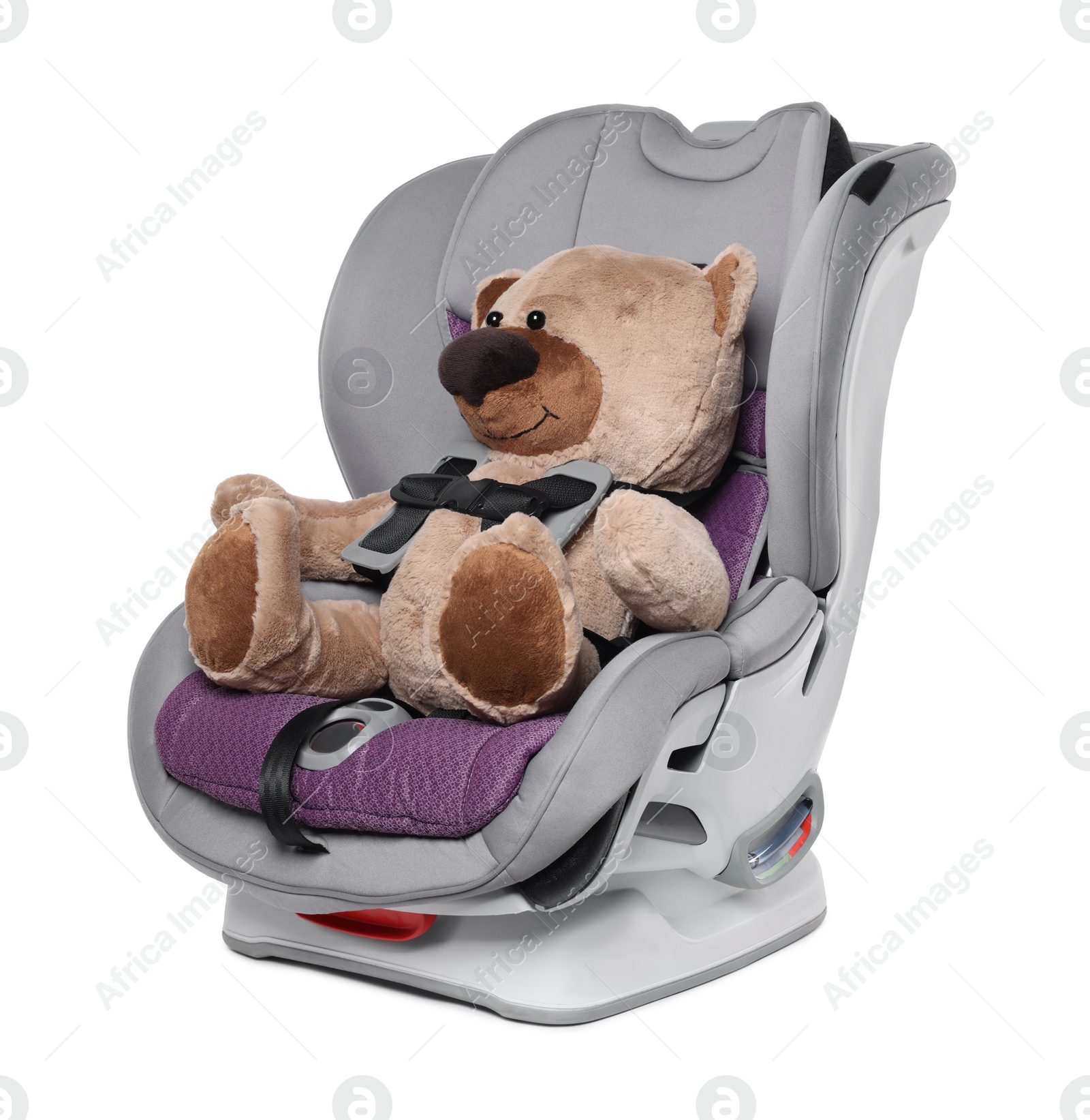 Photo of Teddy bear in child safety car seat on white background