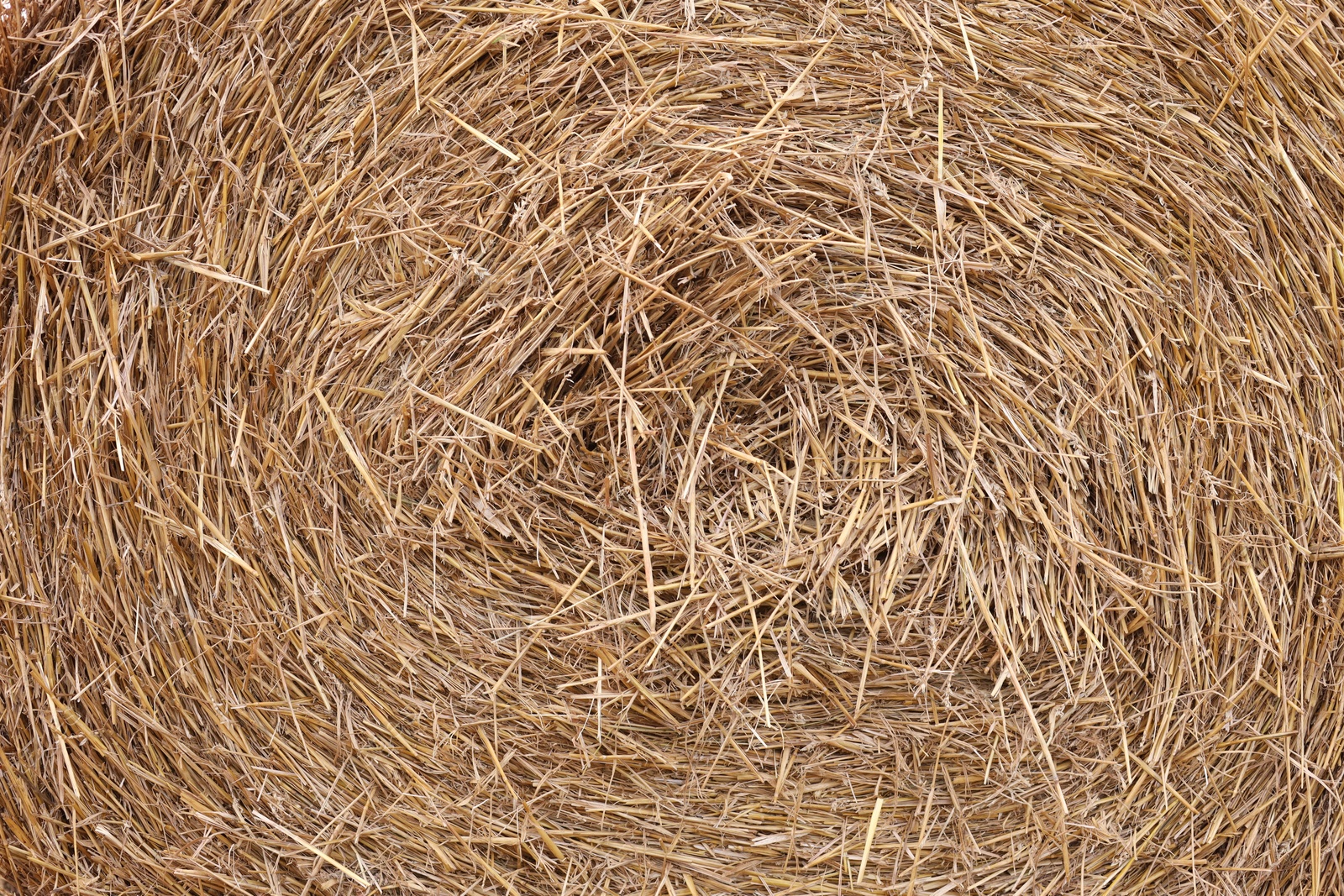 Photo of Hay bale roll as background, closeup view