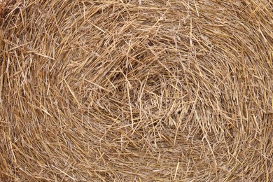 Hay bale roll as background, closeup view