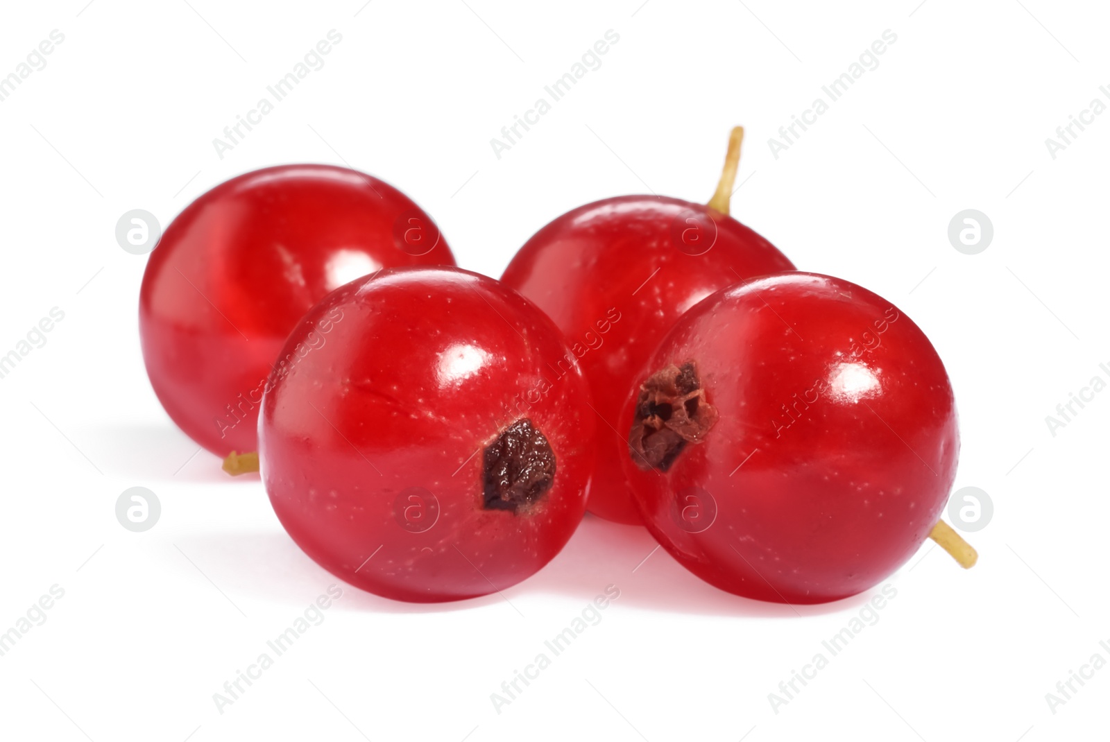 Photo of Fresh ripe red currant berries isolated on white