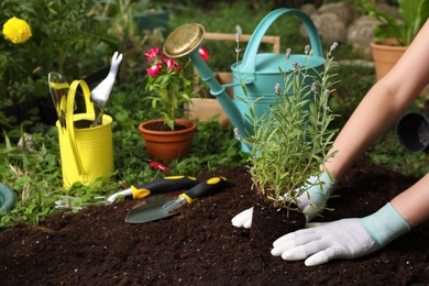 Photo of Woman transplanting beautiful lavender flower into soil in garden, closeup. Space for text